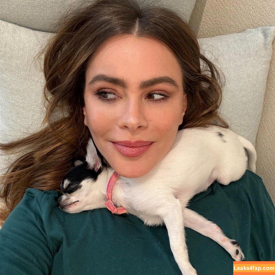 Sofia Vergara / sofiavergara слитое фото фото #0899