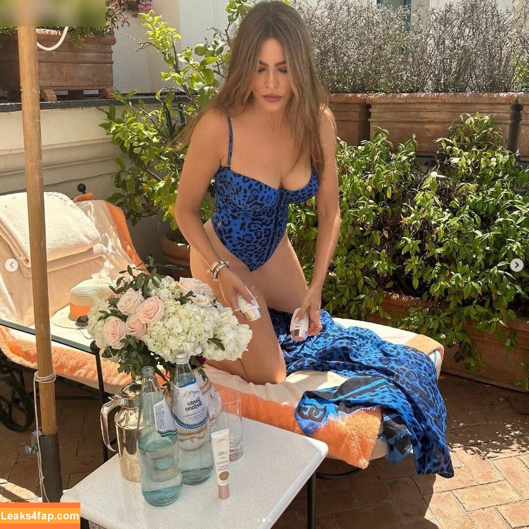 Sofia Vergara / sofiavergara слитое фото фото #0960