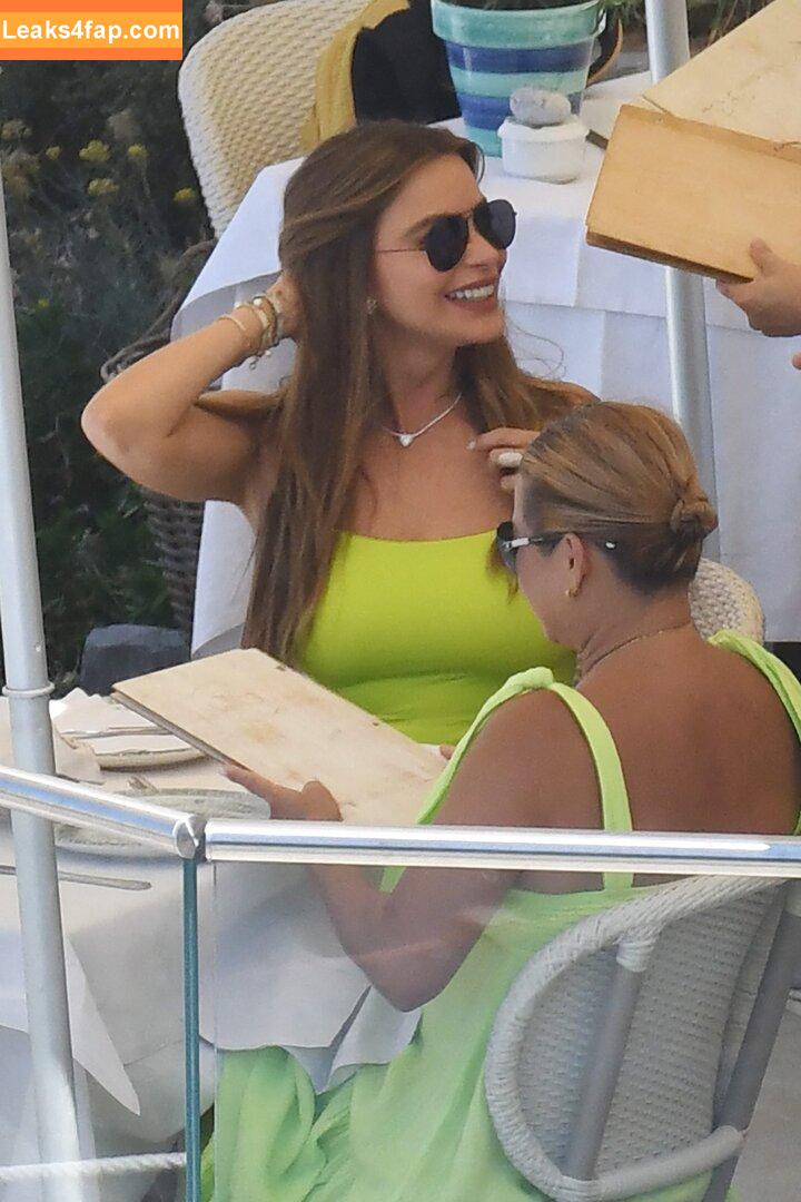 Sofia Vergara / sofiavergara слитое фото фото #0975