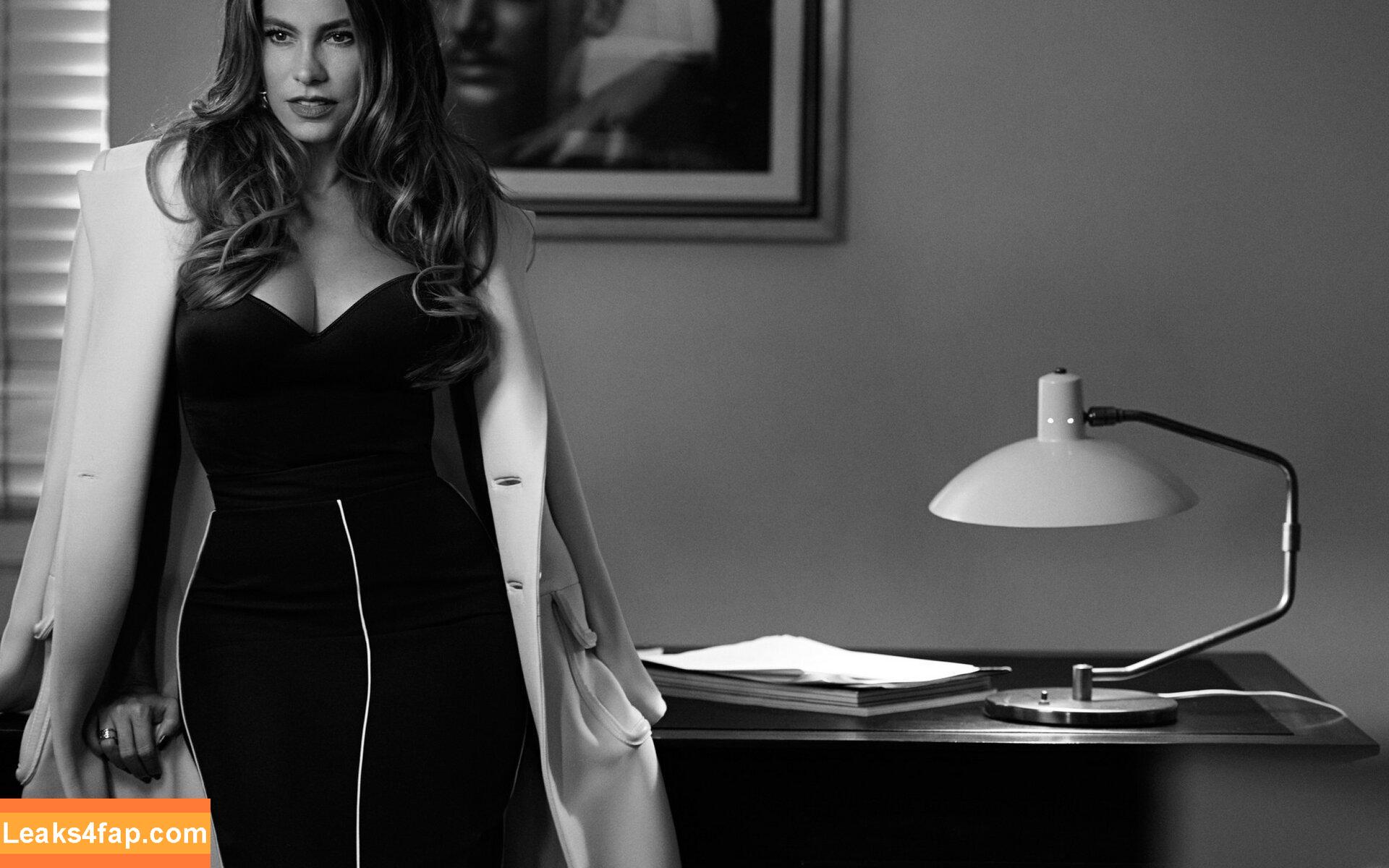 Sofia Vergara / sofiavergara слитое фото фото #0987