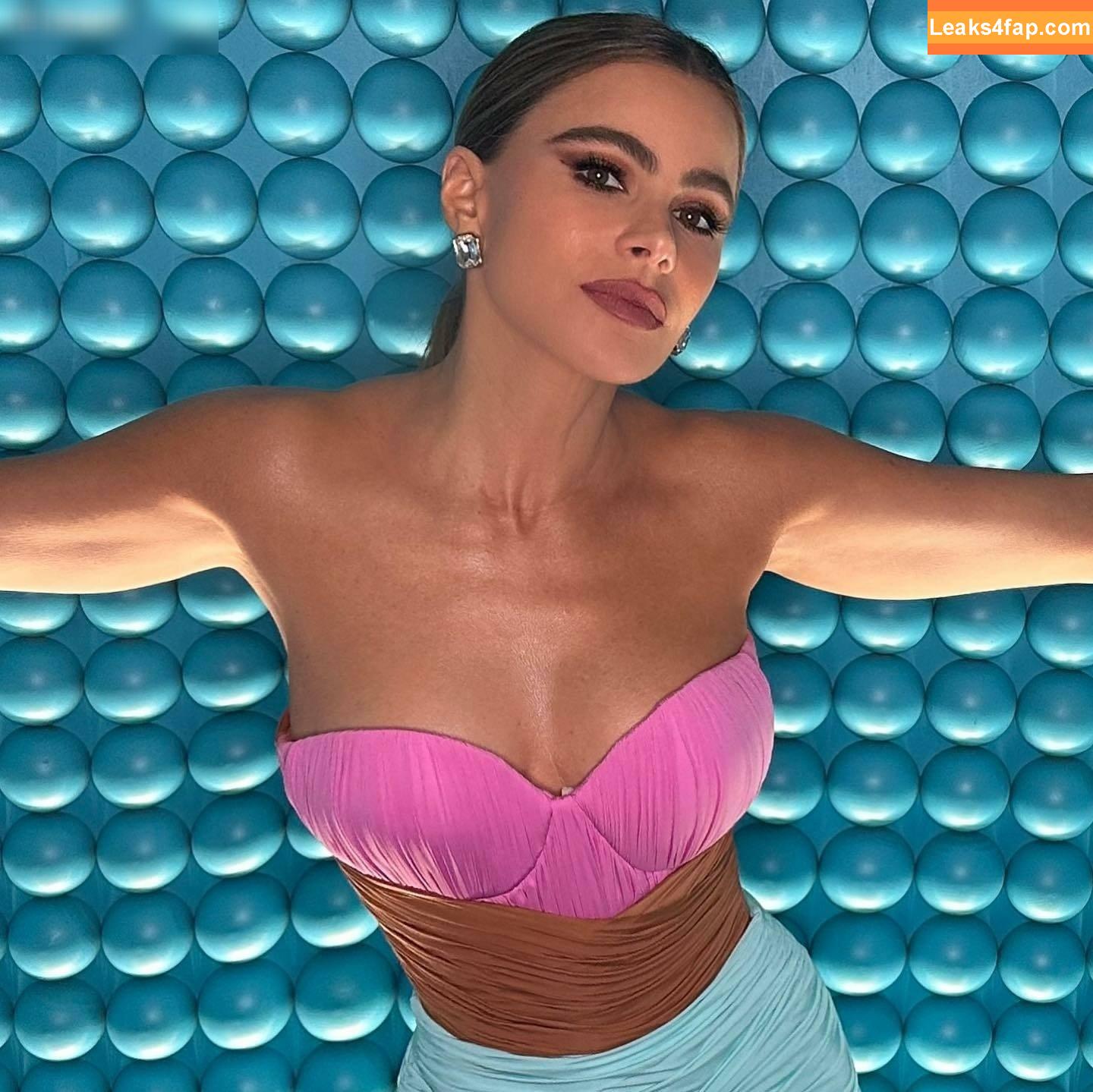 Sofia Vergara / sofiavergara слитое фото фото #0993