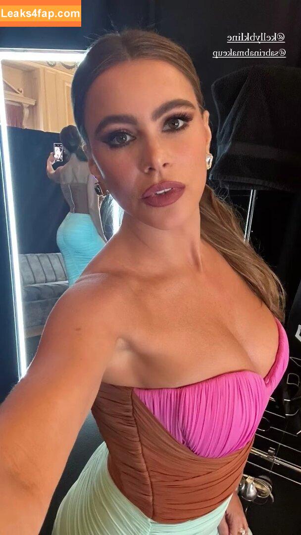 Sofia Vergara / sofiavergara слитое фото фото #0999