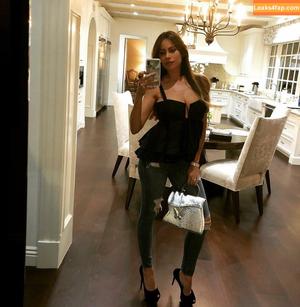 Sofia Vergara фото #0027