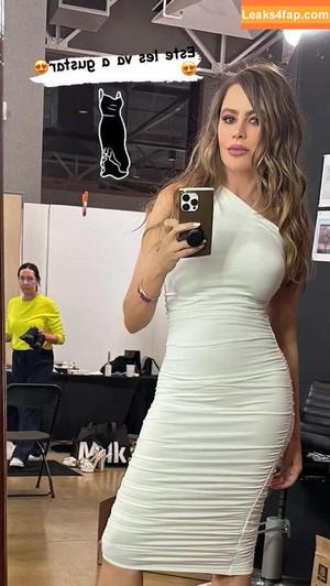 Sofia Vergara фото #0292