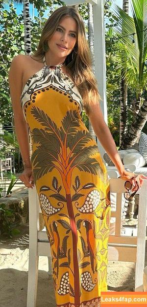 Sofia Vergara фото #0304