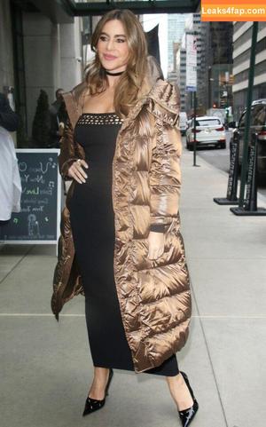 Sofia Vergara фото #0531