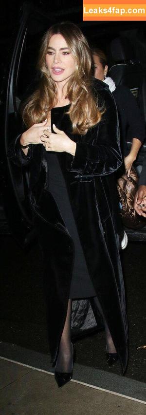 Sofia Vergara фото #0539