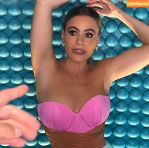 Sofia Vergara фото #0996