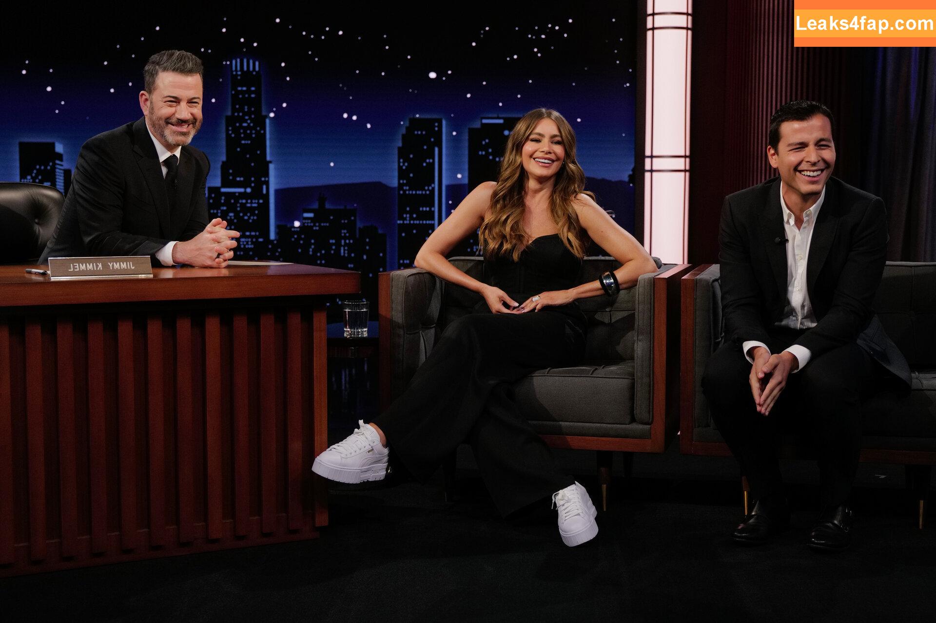 Sofia Vergara / sofiavergara слитое фото фото #1012