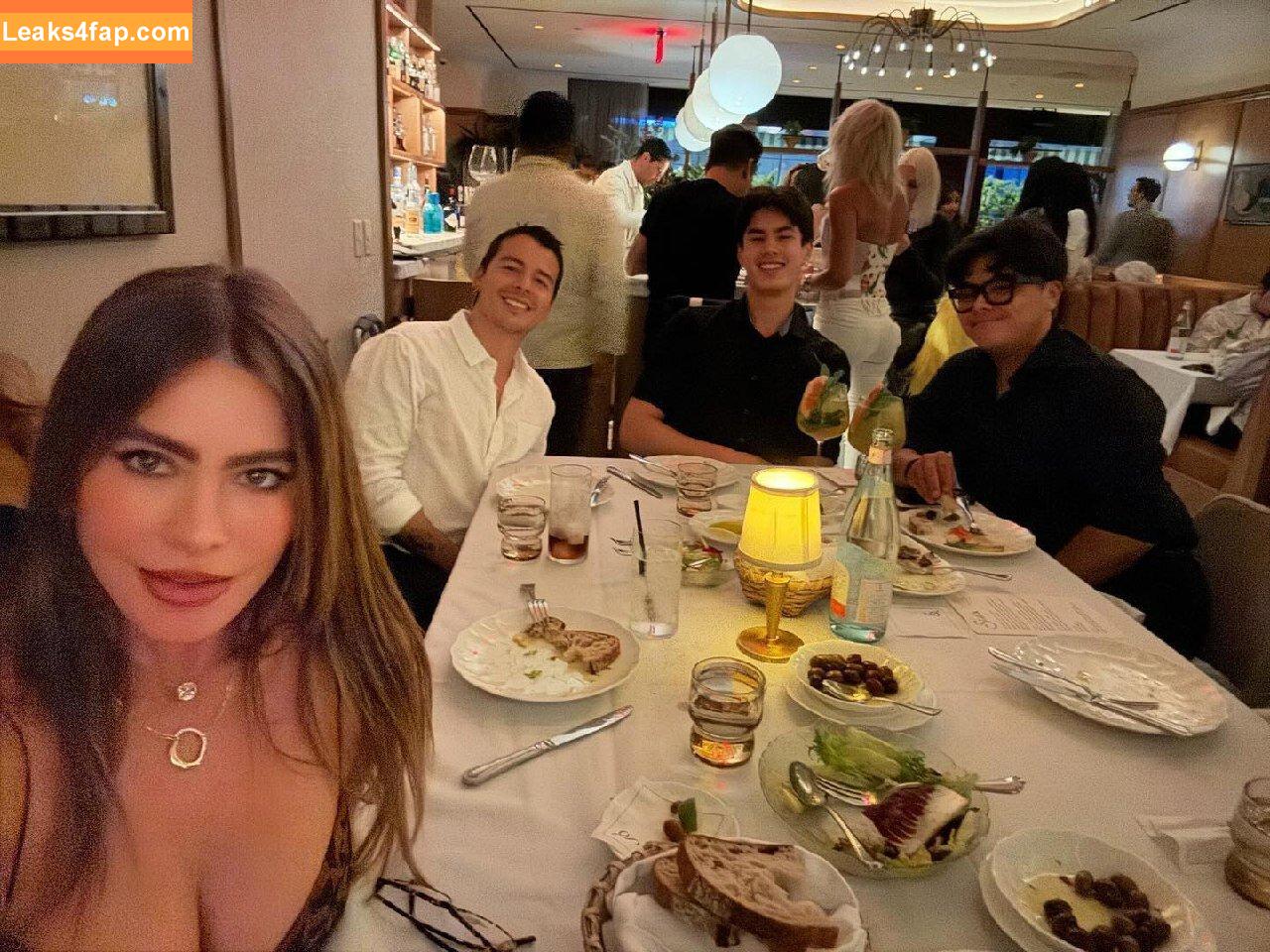 Sofia Vergara / sofiavergara / vergarasofia leaked photo photo #1020