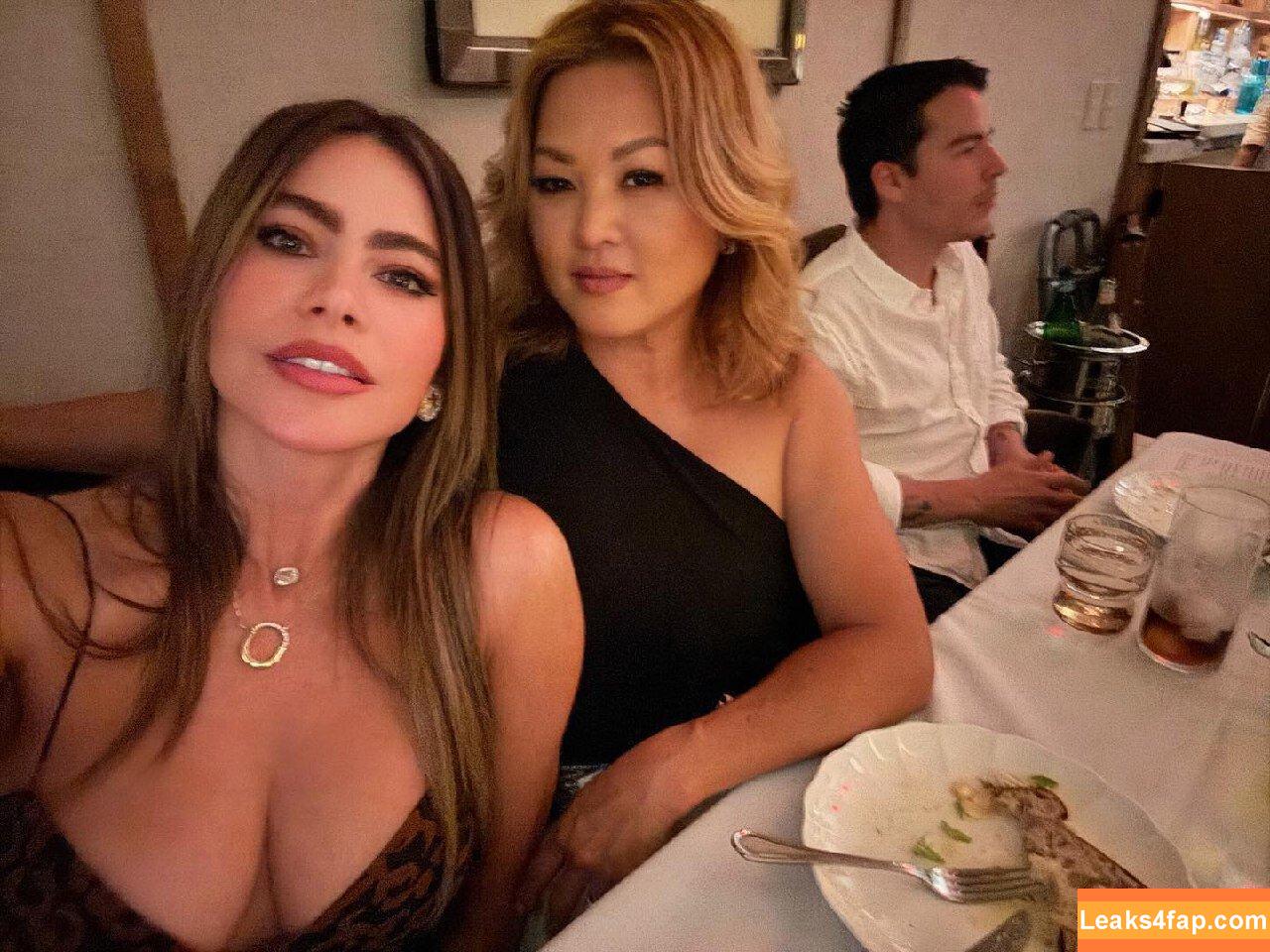 Sofia Vergara / sofiavergara / vergarasofia слитое фото фото #1021