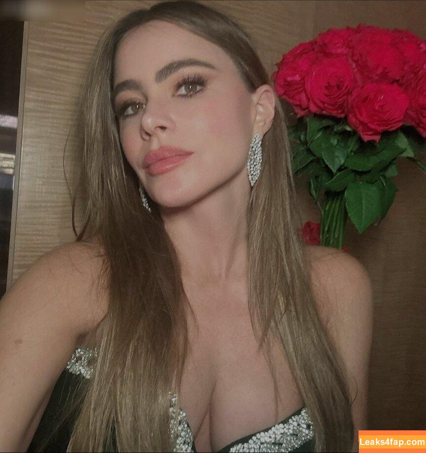 Sofia Vergara / sofiavergara / vergarasofia слитое фото фото #1069