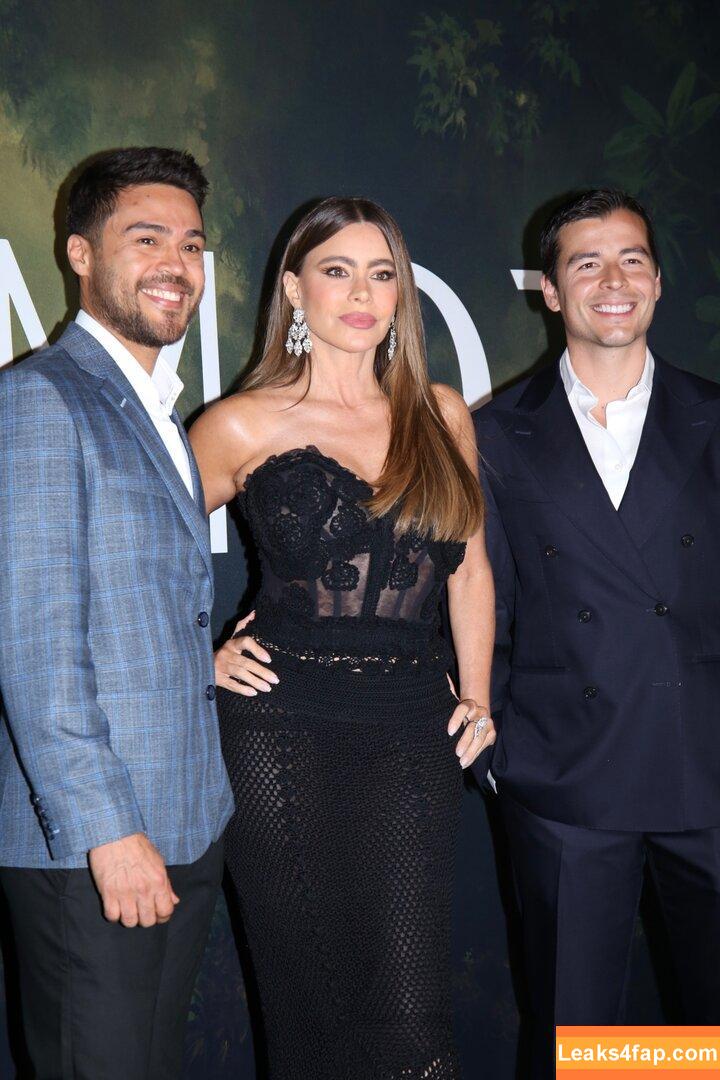 Sofia Vergara / sofiavergara / vergarasofia слитое фото фото #1086