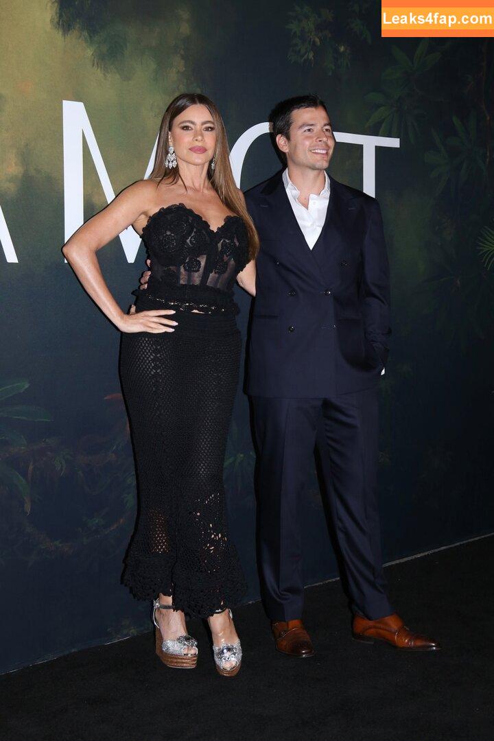 Sofia Vergara / sofiavergara / vergarasofia слитое фото фото #1092