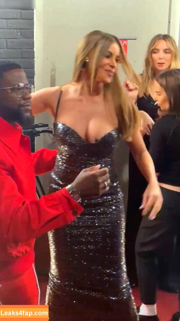 Sofia Vergara / sofiavergara / vergarasofia leaked photo photo #1187