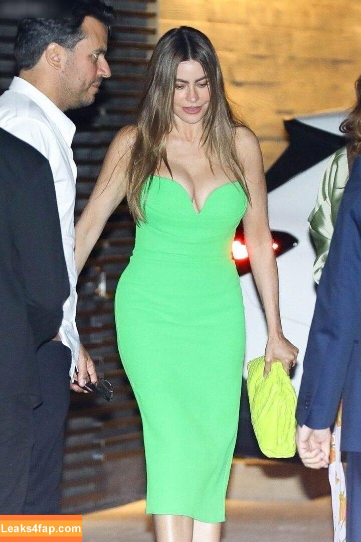 Sofia Vergara / sofiavergara / vergarasofia leaked photo photo #1230