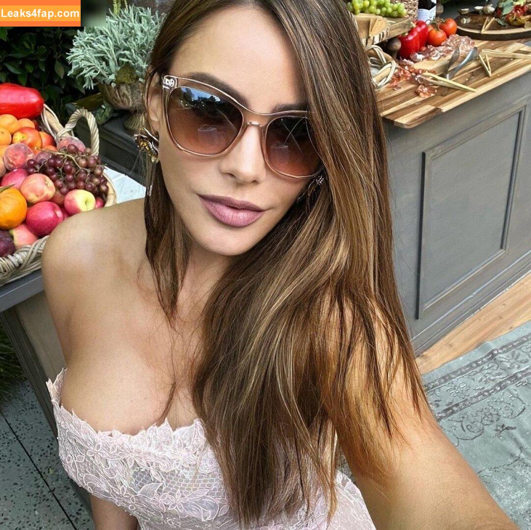 Sofia Vergara / sofiavergara / vergarasofia слитое фото фото #1246