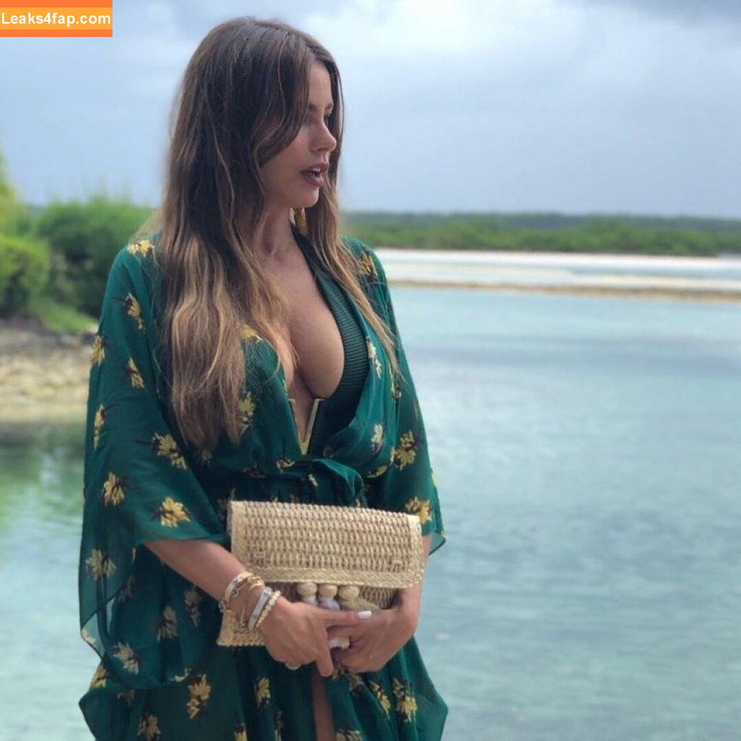 Sofia Vergara / sofiavergara / vergarasofia leaked photo photo #1250