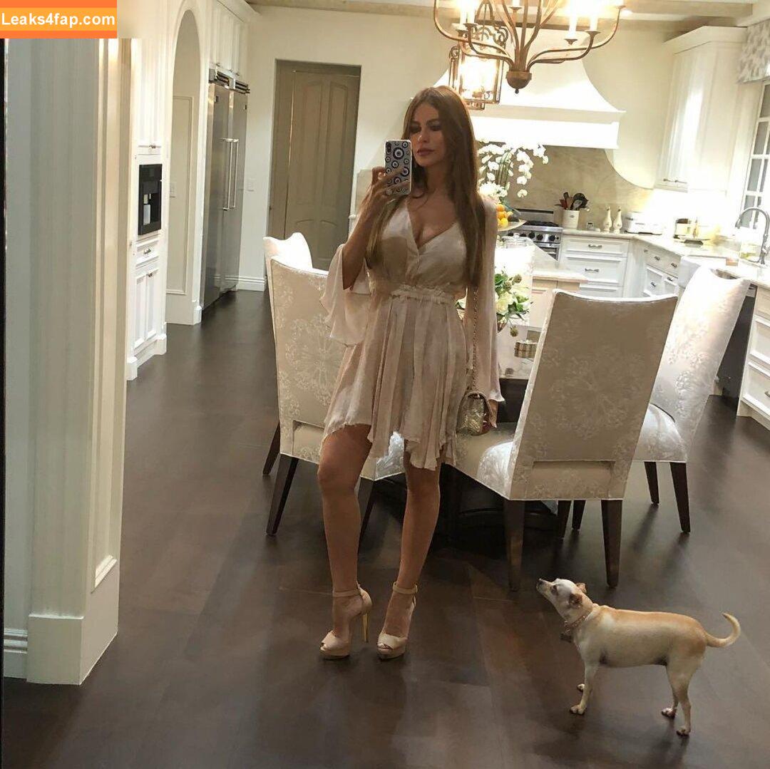 Sofia Vergara / sofiavergara / vergarasofia leaked photo photo #1269