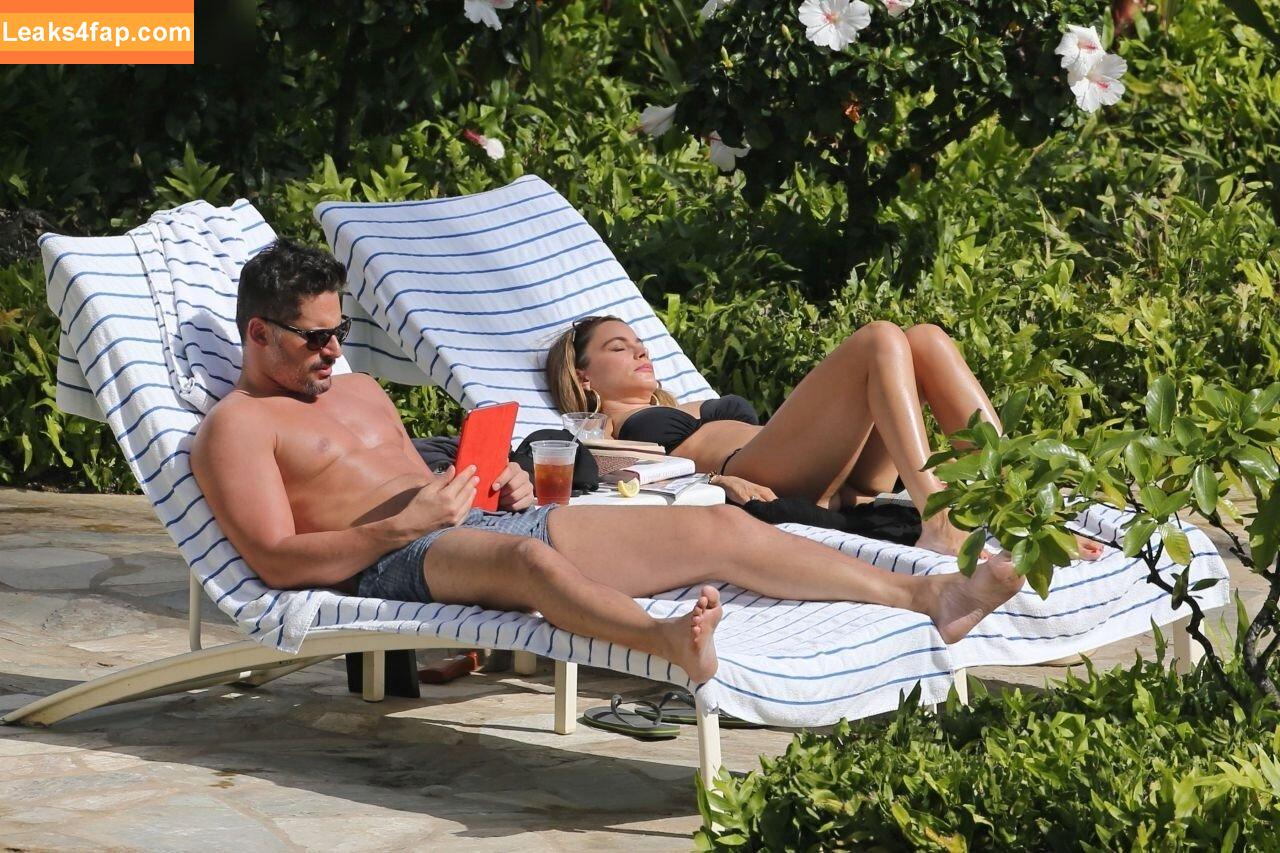 Sofia Vergara / sofiavergara / vergarasofia leaked photo photo #1306