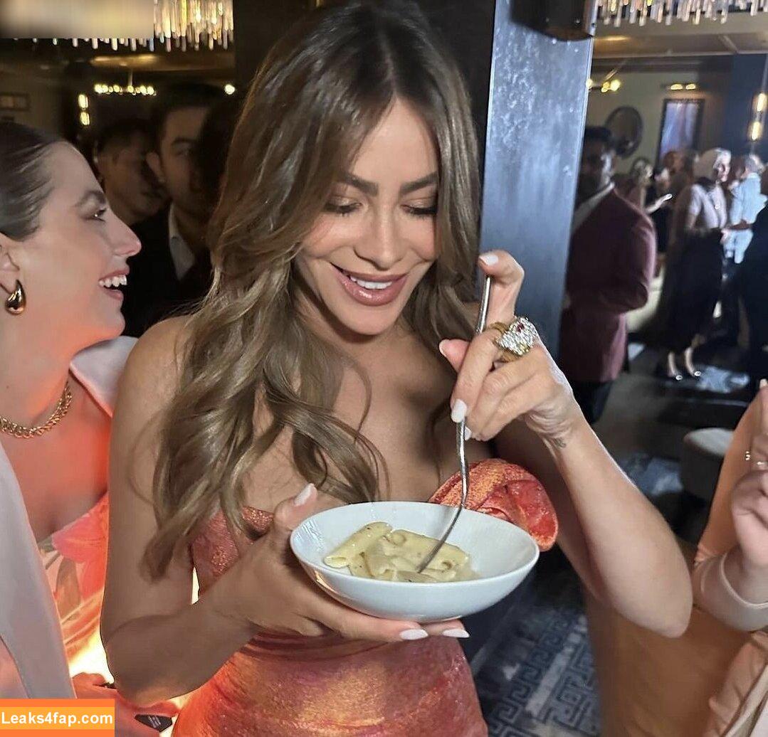 Sofia Vergara / sofiavergara / vergarasofia слитое фото фото #1323