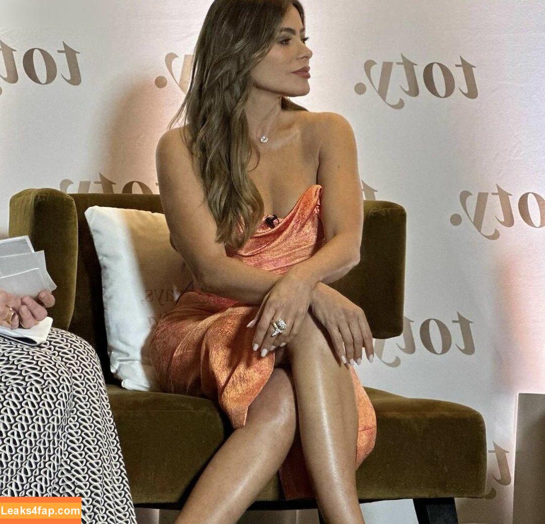 Sofia Vergara / sofiavergara / vergarasofia leaked photo photo #1326