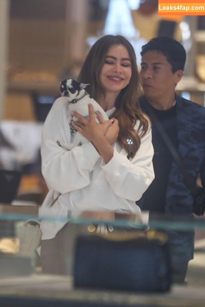 Sofia Vergara / sofiavergara / vergarasofia leaked photo photo #1341