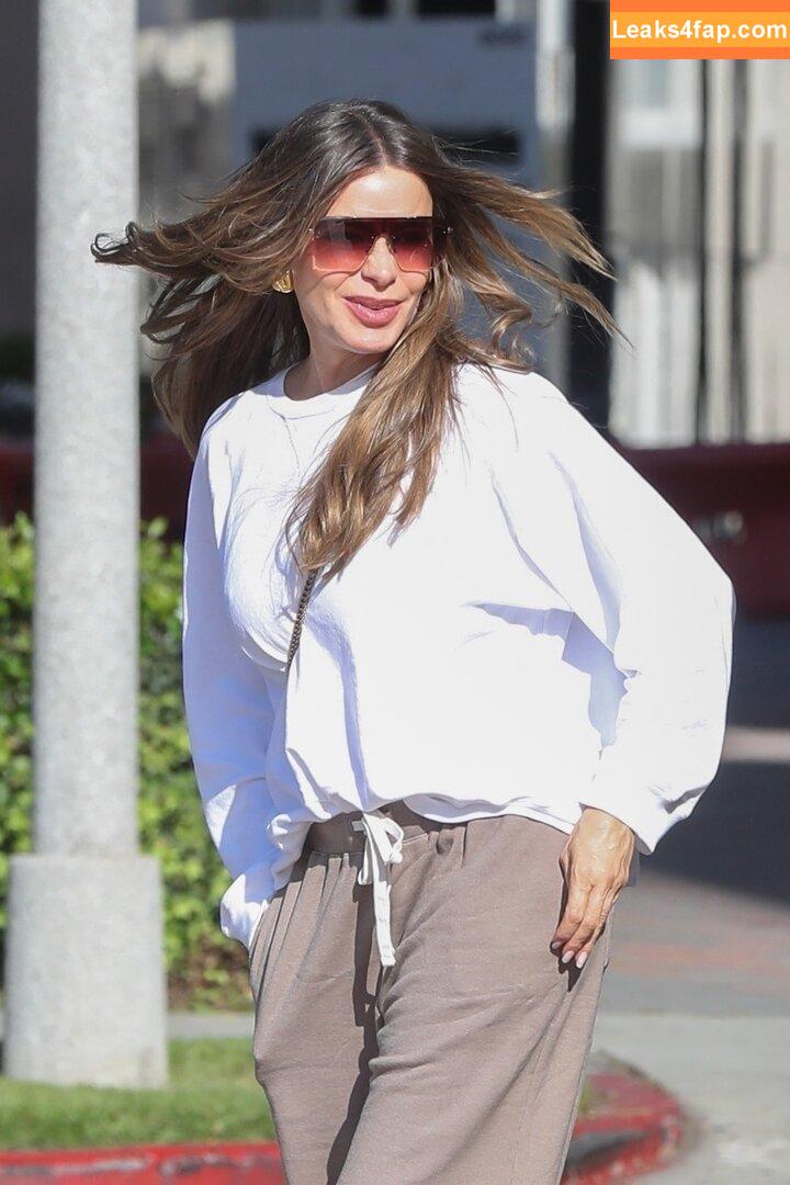 Sofia Vergara / sofiavergara / vergarasofia leaked photo photo #1344