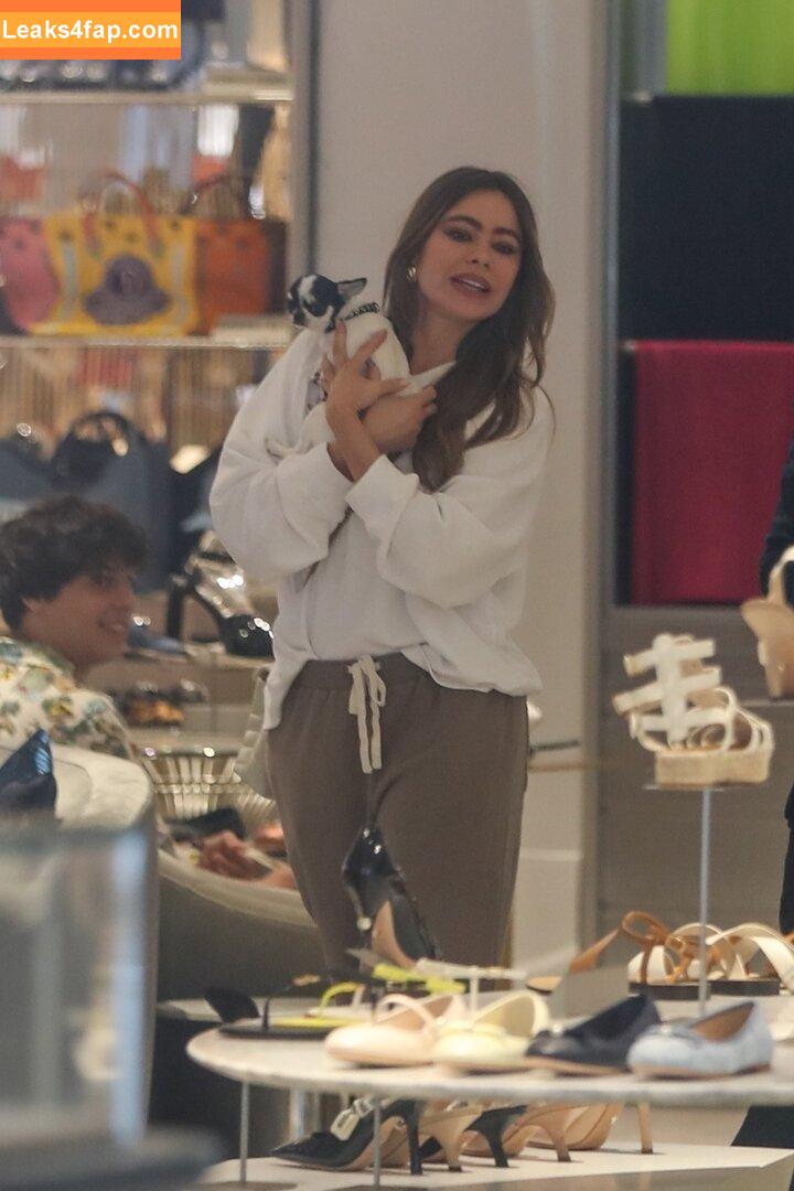 Sofia Vergara / sofiavergara / vergarasofia leaked photo photo #1345