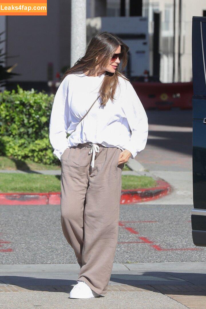 Sofia Vergara / sofiavergara / vergarasofia leaked photo photo #1346