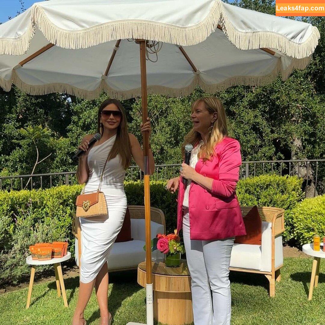 Sofia Vergara / sofiavergara / vergarasofia leaked photo photo #1397