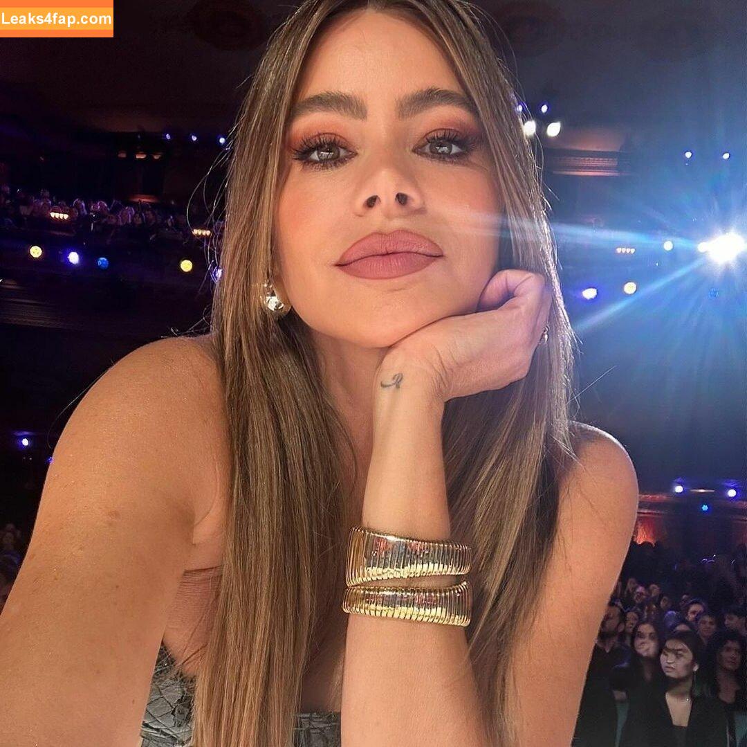 Sofia Vergara / sofiavergara / vergarasofia leaked photo photo #1583