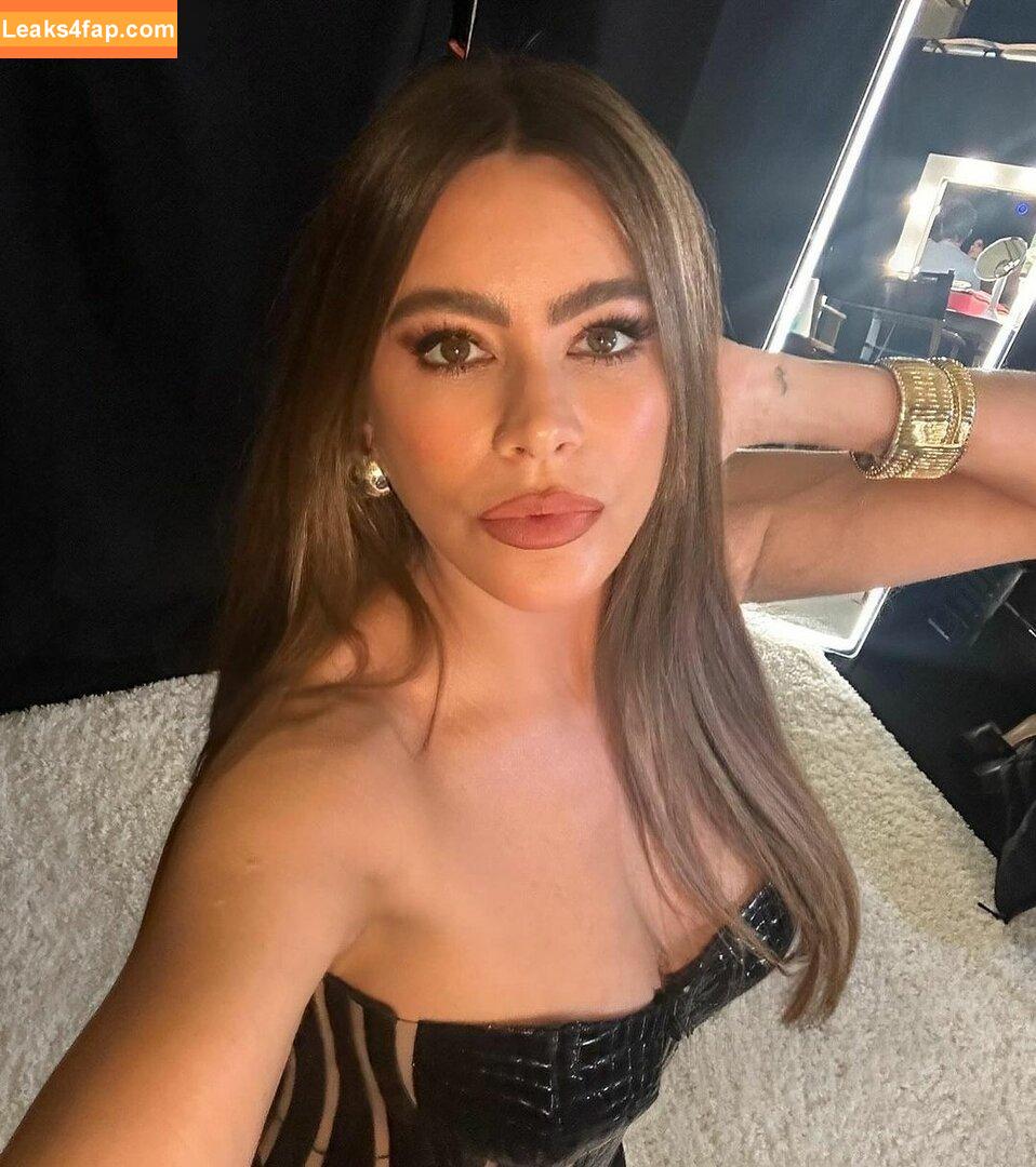 Sofia Vergara / sofiavergara / vergarasofia leaked photo photo #1587