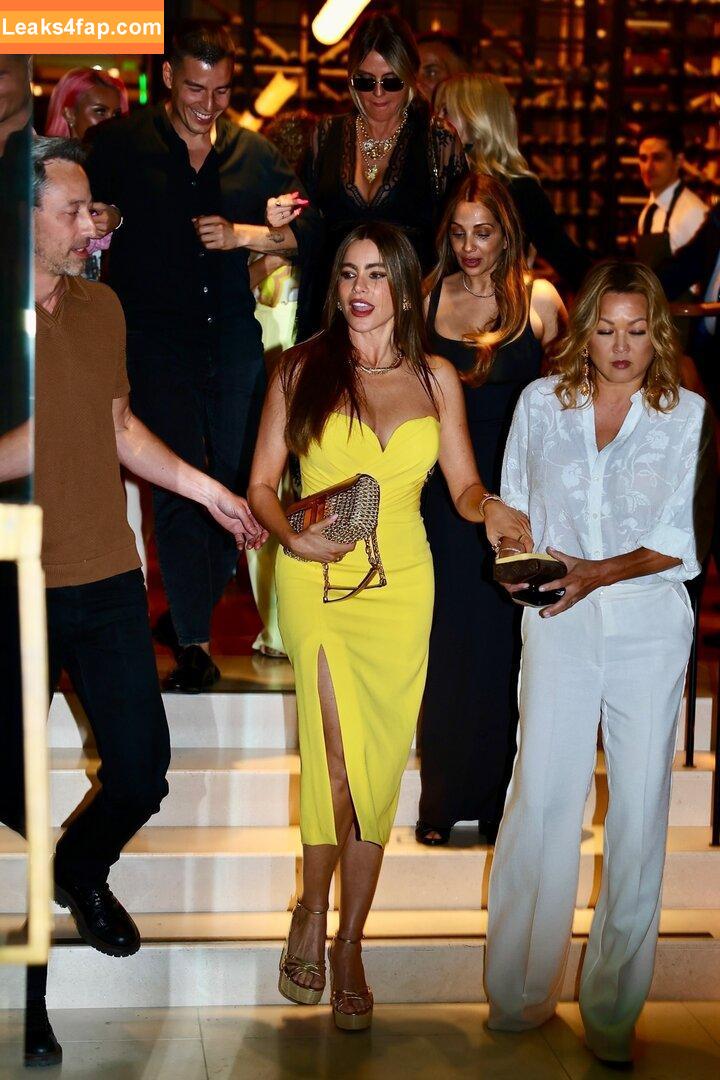 Sofia Vergara / sofiavergara / vergarasofia leaked photo photo #1589