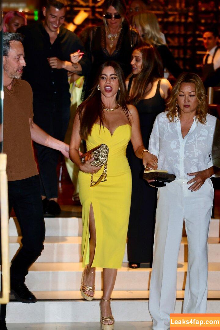 Sofia Vergara / sofiavergara / vergarasofia leaked photo photo #1592