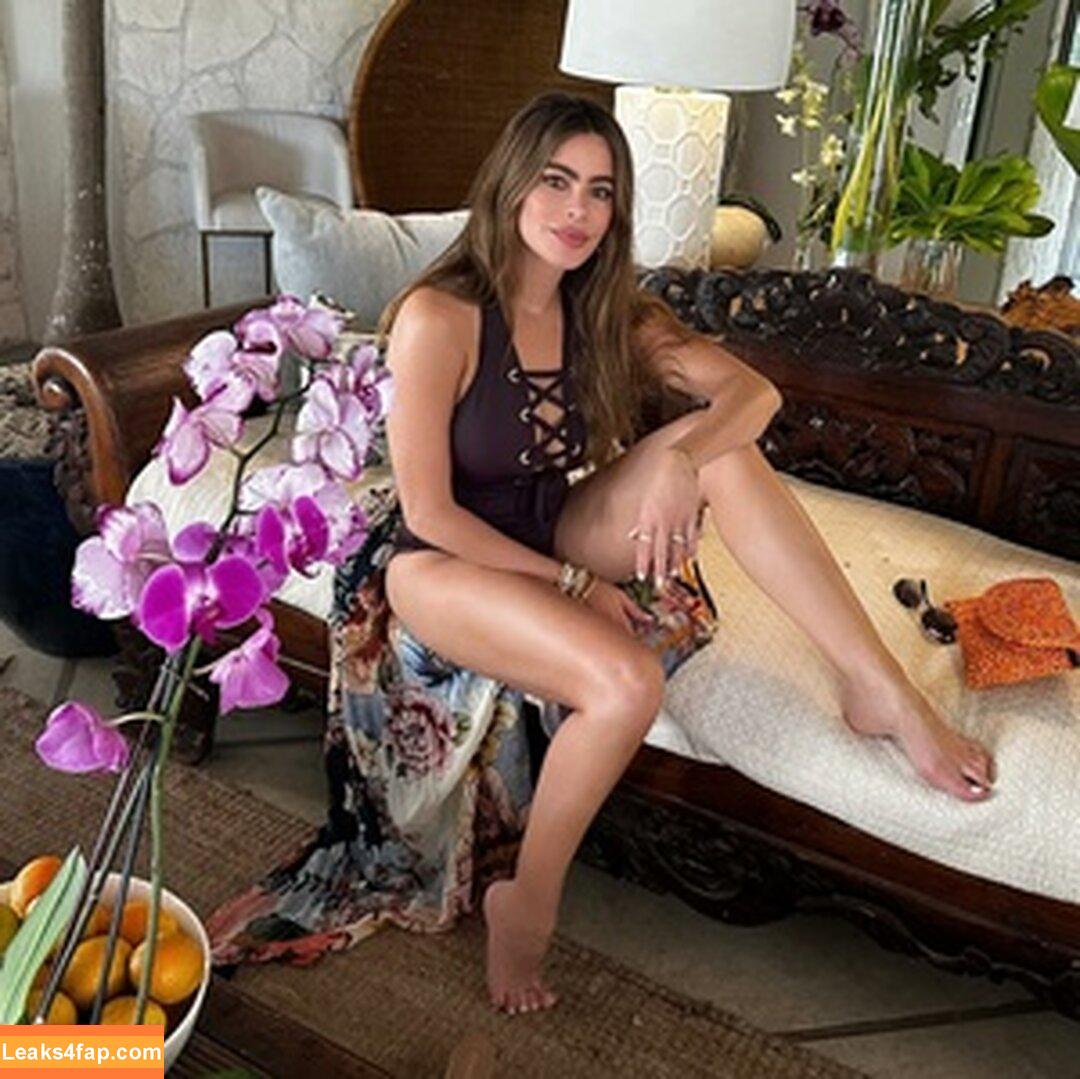 Sofia Vergara / sofiavergara / vergarasofia leaked photo photo #1646
