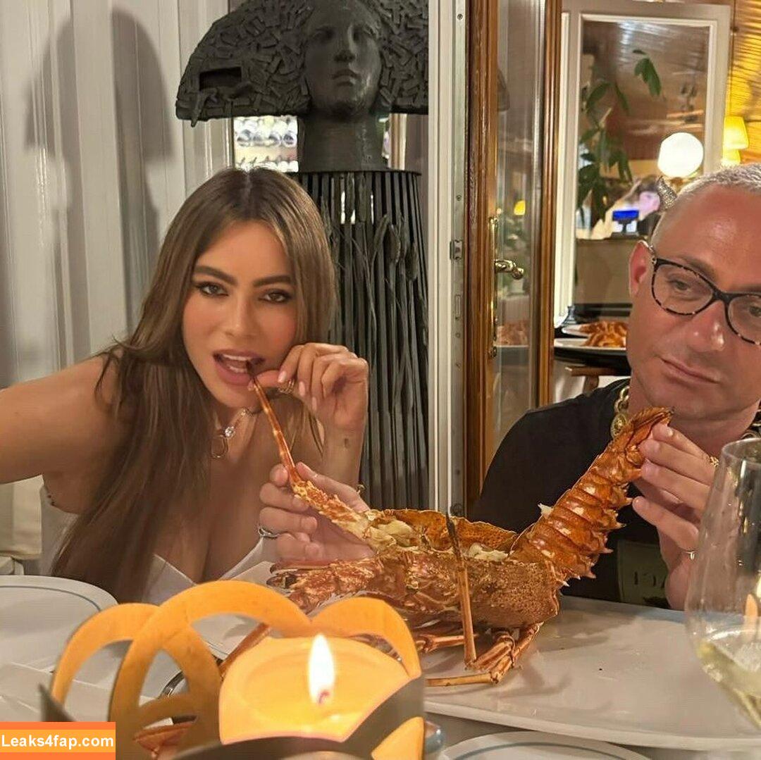 Sofia Vergara / sofiavergara / vergarasofia leaked photo photo #1665