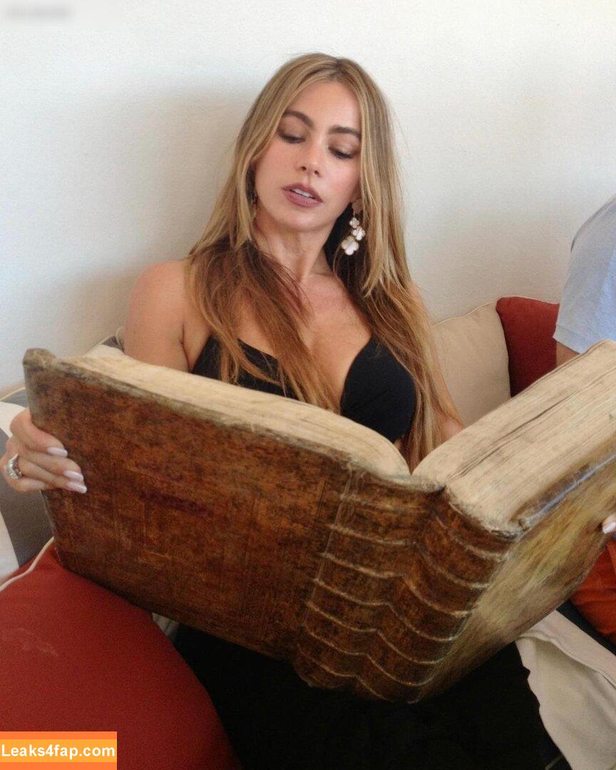 Sofia Vergara / sofiavergara / vergarasofia leaked photo photo #1677
