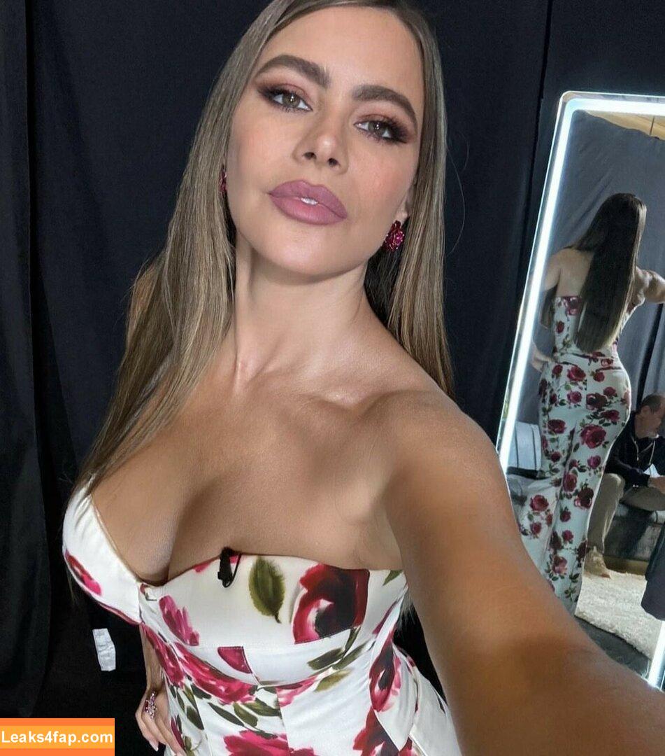 Sofia Vergara / sofiavergara / vergarasofia leaked photo photo #1728