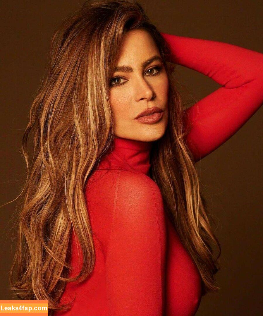 Sofia Vergara / sofiavergara / vergarasofia leaked photo photo #1737