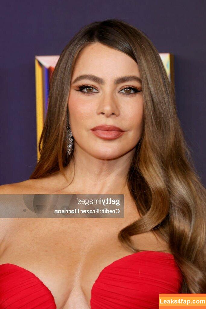 Sofia Vergara / sofiavergara / vergarasofia leaked photo photo #1833