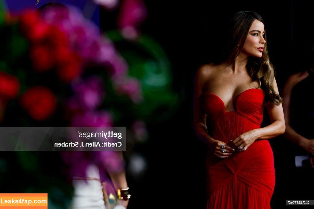 Sofia Vergara / sofiavergara / vergarasofia leaked photo photo #1864