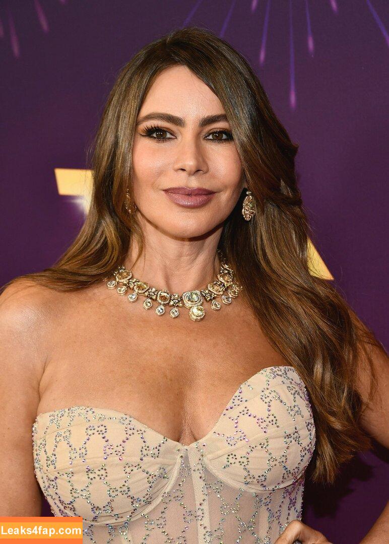 Sofia Vergara / sofiavergara / vergarasofia leaked photo photo #1895