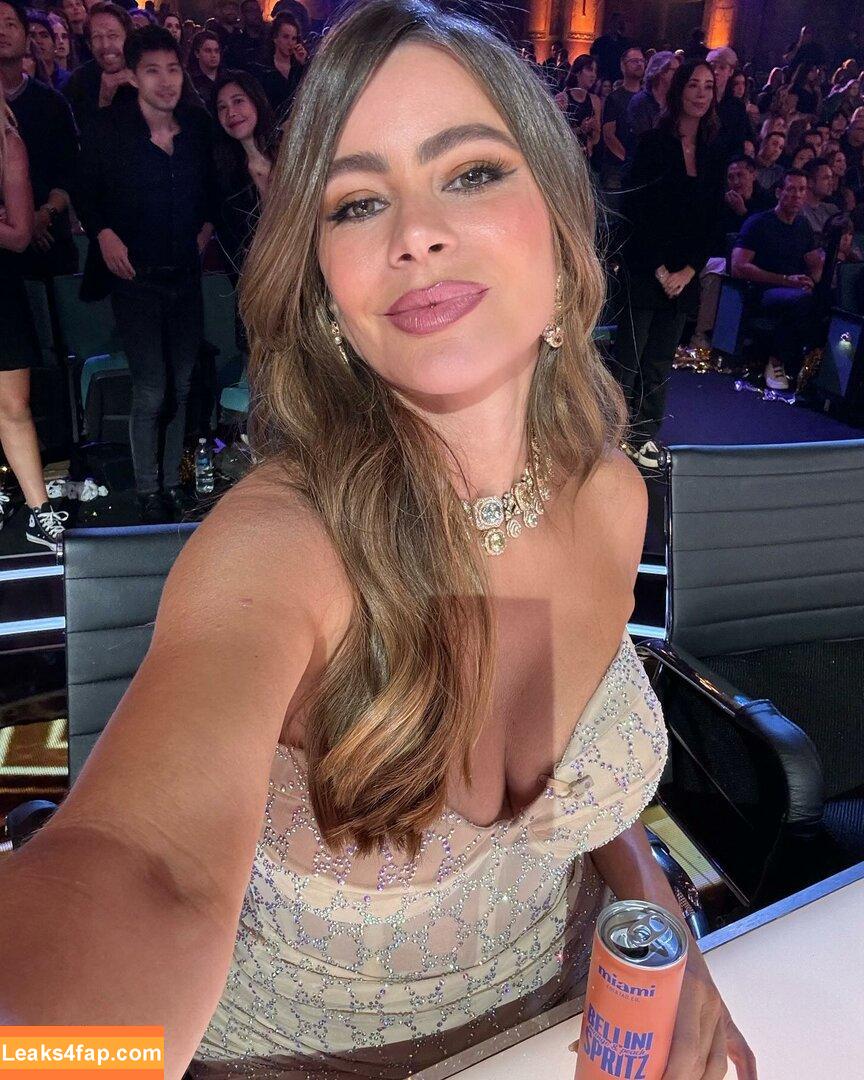 Sofia Vergara / sofiavergara / vergarasofia leaked photo photo #1901