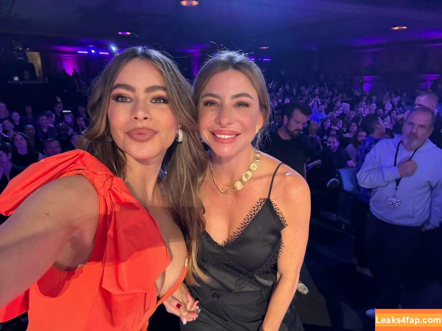 Sofia Vergara / sofiavergara / vergarasofia leaked photo photo #1977