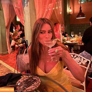 Sofia Vergara photo #1241