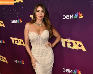 Sofia Vergara photo #1899