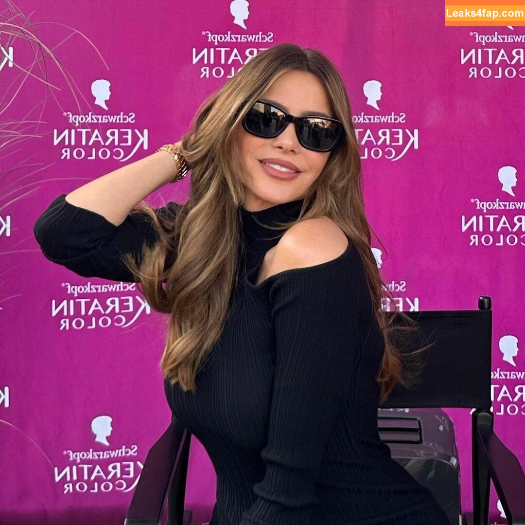 Sofia Vergara / sofiavergara leaked photo photo #2003