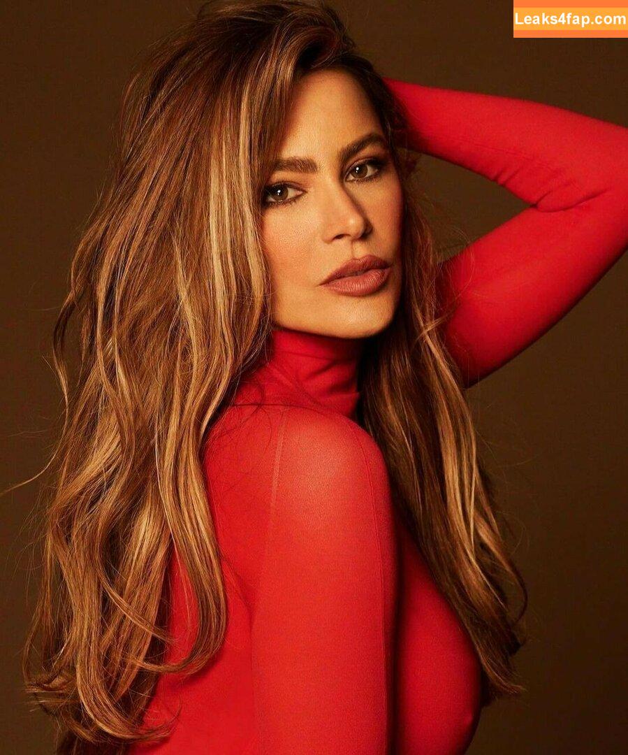 Sofia Vergara / sofiavergara leaked photo photo #2012