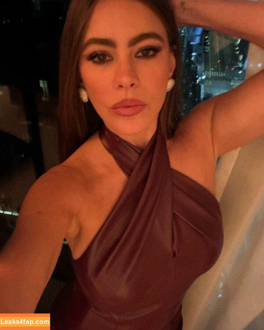 Sofia Vergara / sofiavergara leaked photo photo #2046